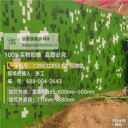 林芝星空迷彩漆，夏令营训练,数码迷彩作训墙,围墙